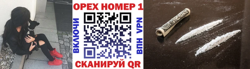 продажа наркотиков  Суздаль  мега ссылки  Кокаин Эквадор 