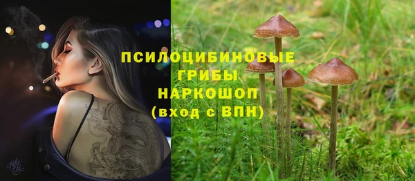 прущие крисы Абинск